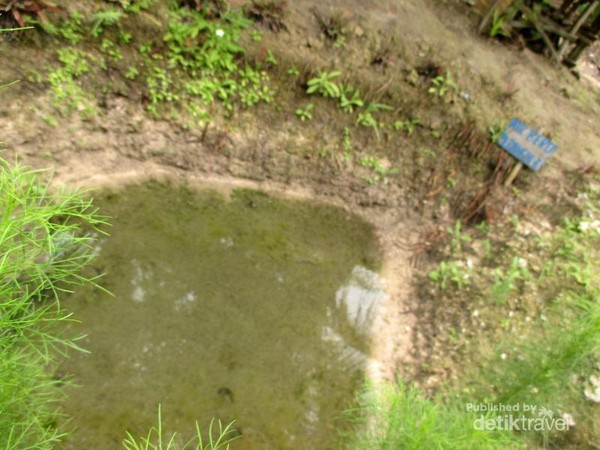 Selain nama dan warna yang berbeda-beda, khasiat airnya pun berbeda-beda. Ada yang untuk mengobati berbagai penyakit dan ada juga yang berkhasiat untuk enteng jodoh, yaitu di kolam Air Putri Kasih. Jadi buat yang masih jomblo, bisa Selain nama dan warna yang berbeda-beda, khasiat airnya pun berbeda-beda. Ada yang untuk mengobati berbagai penyakit dan ada juga yang berkhasiat untuk enteng jodoh, yaitu di kolam Air Putri Kasih. Jadi buat yang masih jomblo, bisa