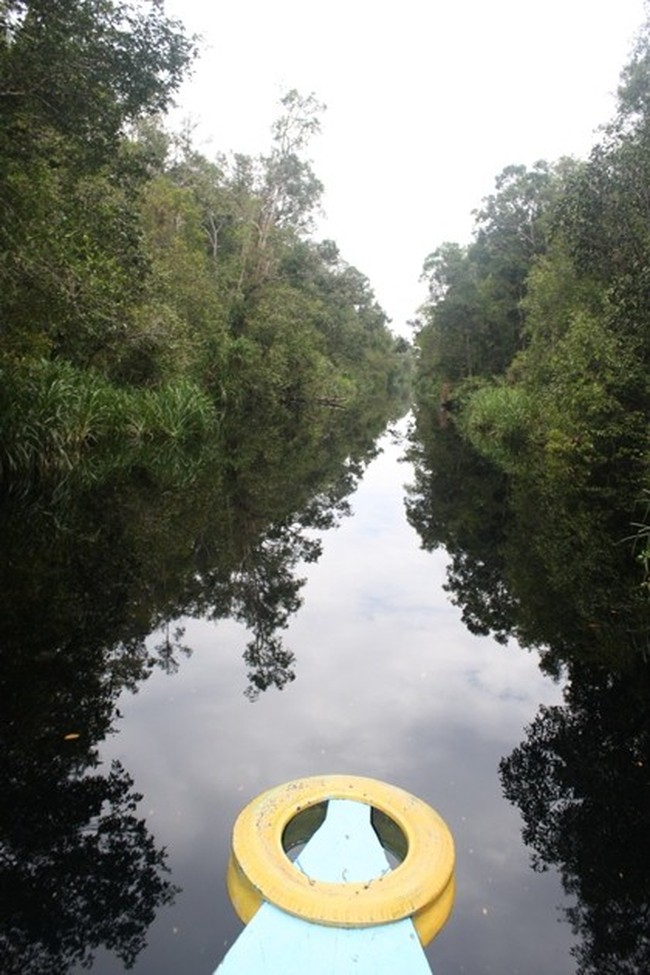Tapak Tilas Petualang ACI  Menjelajahi Tanjung Puting