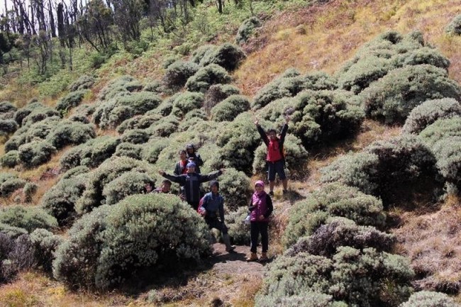 Tegal Alun, Surganya Fotografer Alam Bebas
