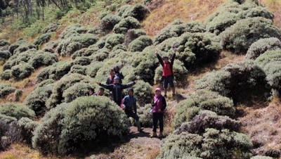 Tegal Alun, Surganya Fotografer Alam Bebas