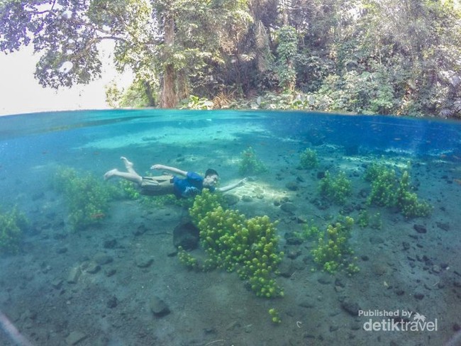 Tempat Berenang Paling Biru dan Paling Jernih di Malang
