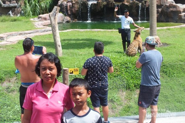 Tempat Melihat Kuda Nil dan Harimau Sumatera di Bali
