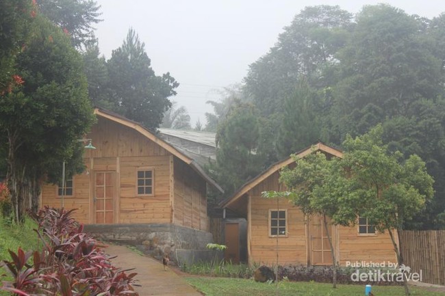 Tempat Outbound Seru di Bogor, Richie the Farmer