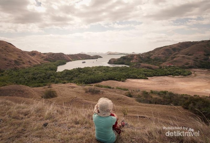 Tempat Terbaik Melihat Komodo