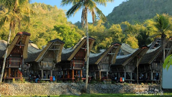 Tengkorak Tana Toraja