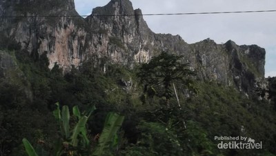 Terbuai Barisan Pegunungan Hijau di Enrekang, Sulsel