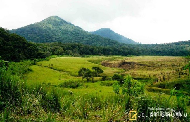 Ternyata Ada Savana Seindah Ini di Bandung