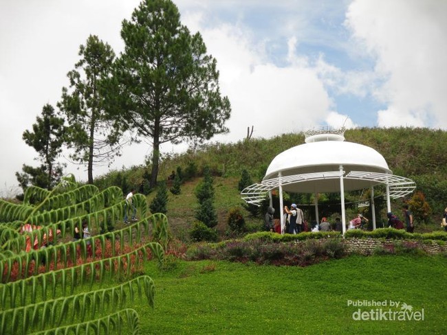 Ternyata di Karo Ada Taman Bunga Cantik