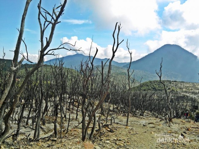 Terpesona Eksotisme Gunung Papandayan