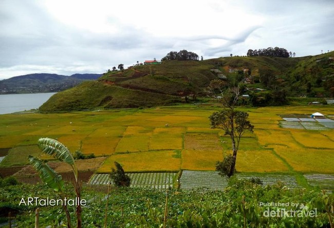 Terpesona Indahnya Danau Diatas di Solok
