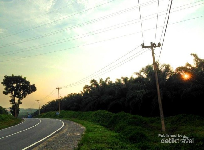Terpesona Sunset di Perkebunan Kelapa Sawit Labuhanbatu