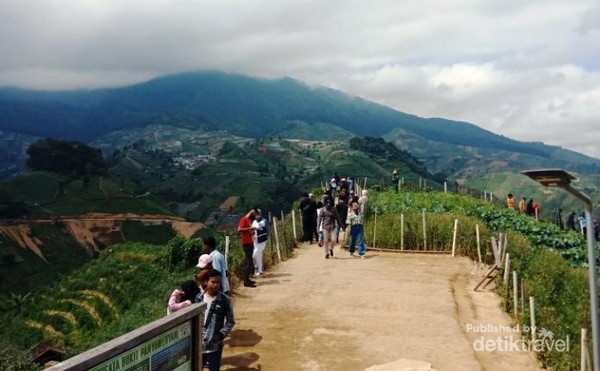 Traveler Siap Ini Bukit Panyaweuyan  di Majalengka 