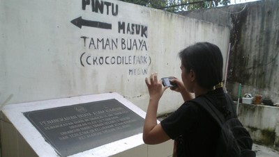 Uji Nyali Masuk Kandang Buaya di Medan, Berani?