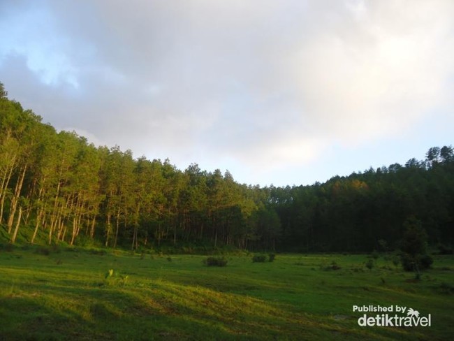 Unik! Ada Tanah Goyang di Ponorogo
