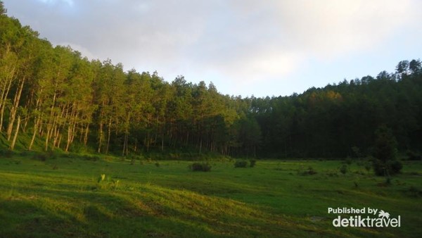 Unik! Ada Tanah Goyang di Ponorogo