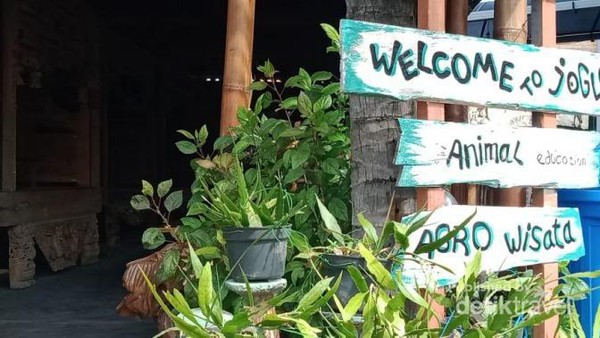 Unik, Restoran Ini Punya Kebun Binatang Mini