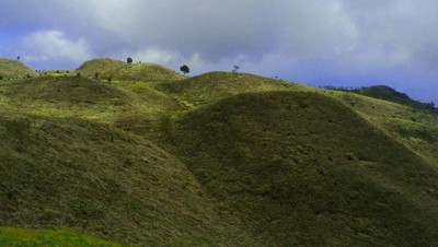 Uniknya Bukit Teletubbies di Puncak Gunung Prau
