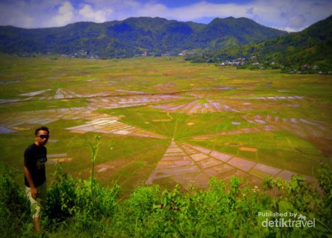 Uniknya Sawah Jaring Laba-Laba di Manggarai