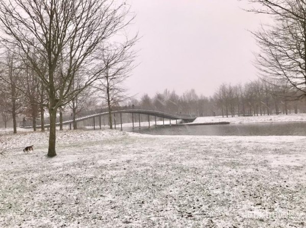 Area piknik di taman kota yang memutih karena salju