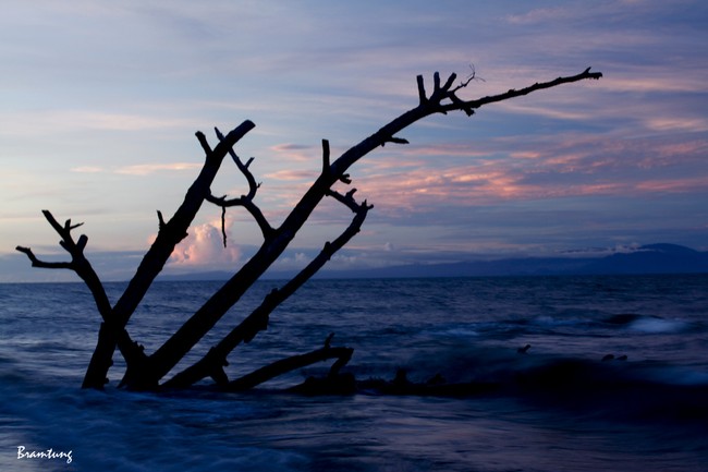 Waropen, Satu Lagi Surga di Ujung Timur Indonesia