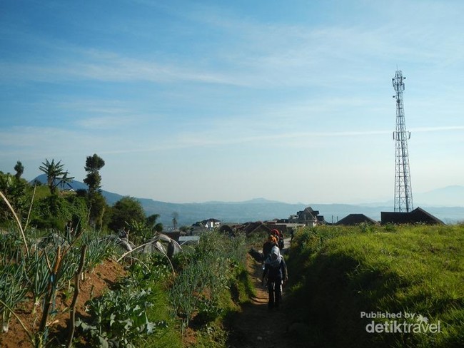 Weekend, Ayo Daki Gunung Gede Lewat Gunung Putri