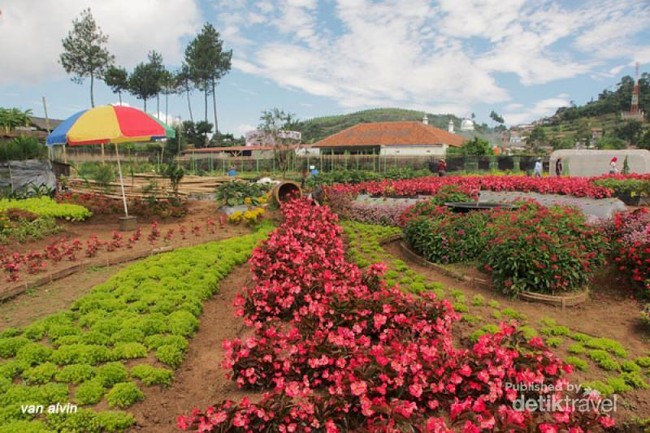 Weekend, Rekreasi Kebun di Lembang