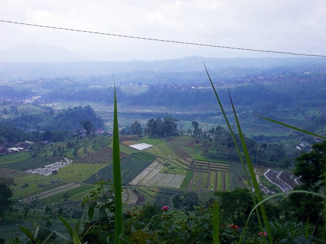 Wih! Panorama Gunung Lawu Sungguh Memukau