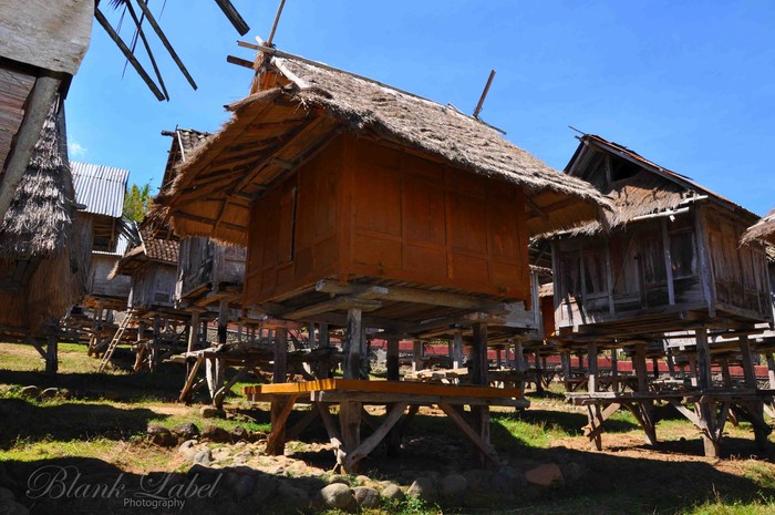 Wiih! Bima Punya Piramida