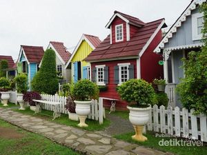 Wisata Berkebun Ini Punya Banyak Spot Foto Cantik