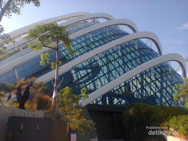 Wisata ke Gardens by the Bay yang Modern di Singapura