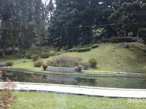 Wisata Murah Meriah di Puncak, Kebun Raya Cibodas