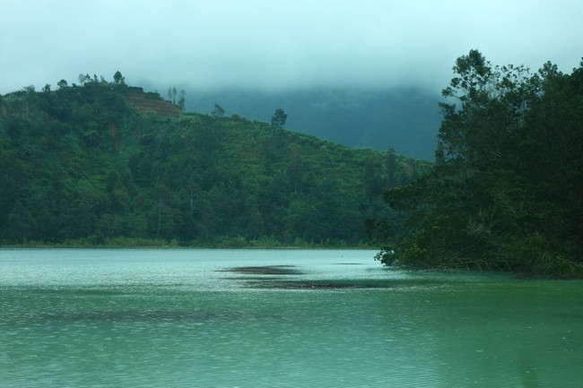 Wonosobo, Kota Dingin nan Sentimentil
