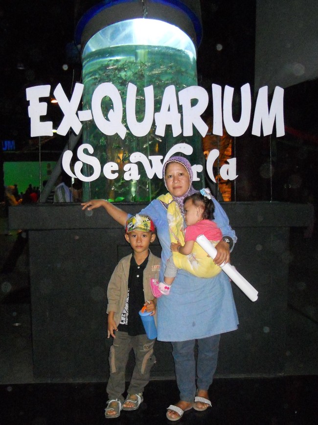 Wow! Ada Belut Raksasa di Sea World