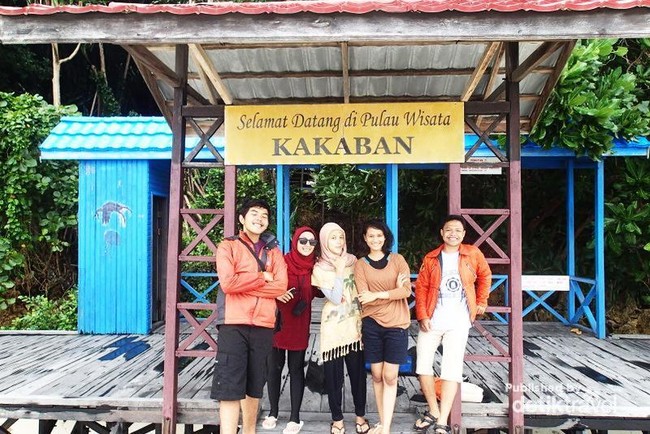 Wow! Ada Ubur-ubur Emas di Derawan