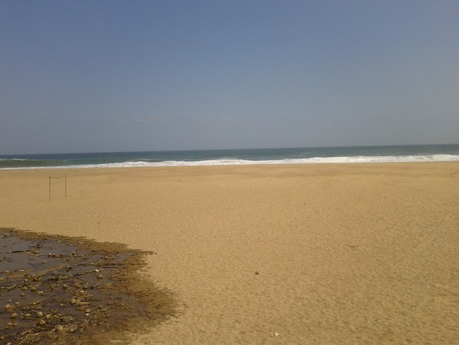 Wow! Cantiknya Pantai Sidomulyo di Pacitan