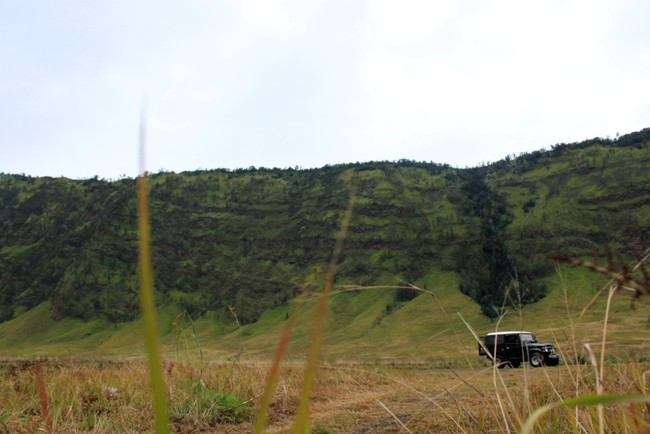 Wuih! Ada Bukit Teletubbies di Gunung Bromo