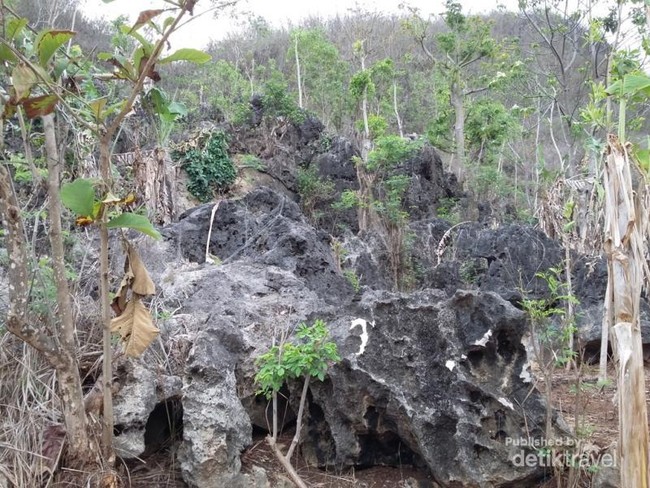 Yang Baru dari Gunungkidul: Pantai Greweng