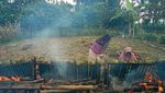 Yang Jarang Ada di Kota-kota Besar, Malamang