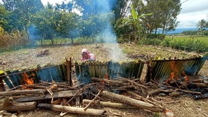 Yang Jarang Ada di Kota-kota Besar, Malamang