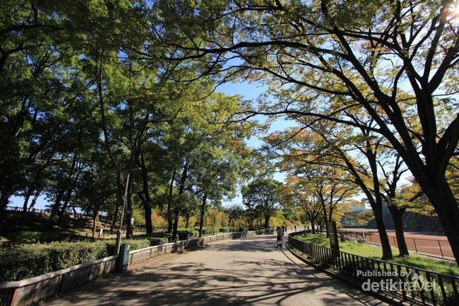 Yang Menawan Dekat Istana Osaka, Plum Garden