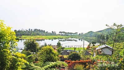 Yuk, Intip Taman Baca di Wisata Alam Rawa Gede