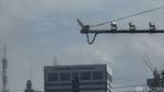 Izin Komandan, CCTV E-TLE Kok Menghadap Langit?