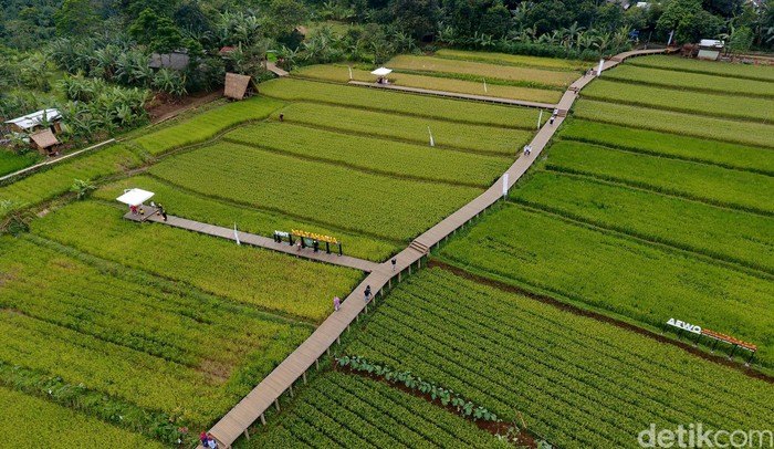 Kampung Tematik Mulyaharja