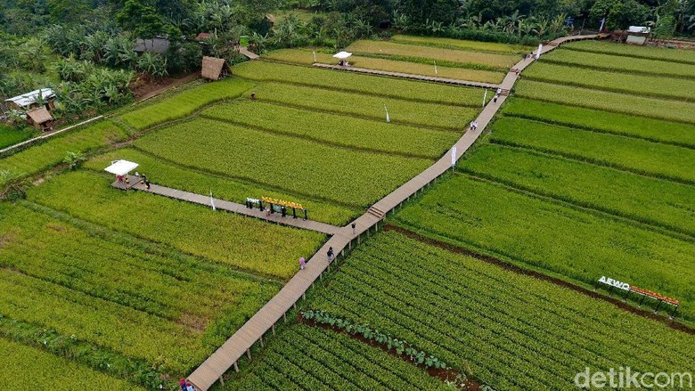 Kampung Tematik Mulyaharja Kampung Tematik Mulyaharja