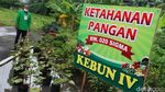 Melihat Ketahanan Pangan Warga di Pondok Gede
