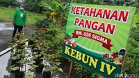 Setiap Kecamatan di Kota Bekasi akan diwakilkan oleh satu Rukun Warga (RW) untuk dinilai kesiapannya dalam pagan seperti apotik hidup, sayur-mayur dan buah-buahan.