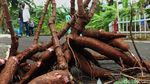 Melihat Ketahanan Pangan Warga di Pondok Gede