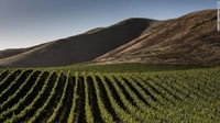 Santa Maria tak sepadat kota-kota di California lainnya. Sehingga, penerapan protokol kesehatan seperti menjaga jarak lebih mudah dilakukan. (George Rose/Getty Images)