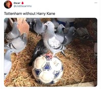 Meme Spurs Chelsea