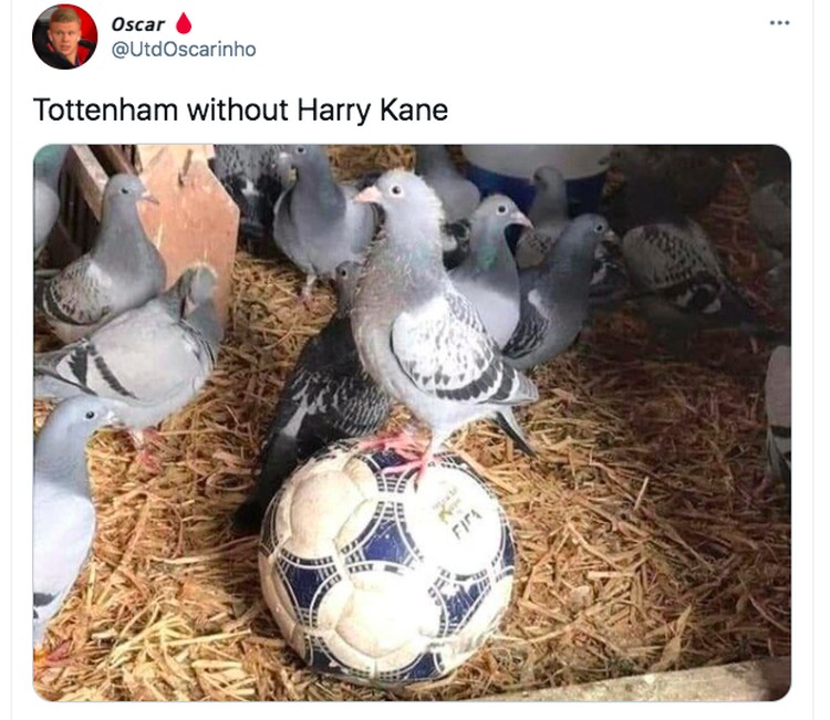 Meme Spurs Chelsea Meme Spurs Chelsea